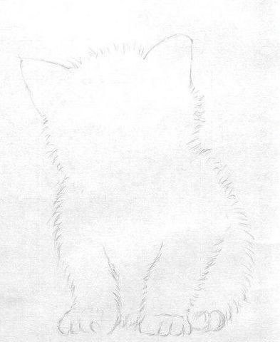 Рисуем маленького котёнка