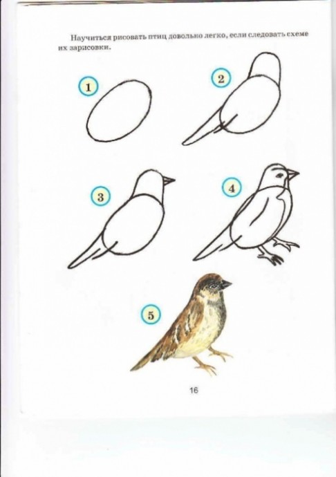 Рисуем птиц