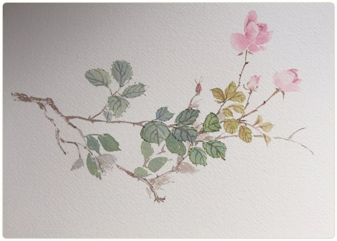 Рисуем веточку вместе