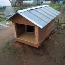 ​Дом для пёсика