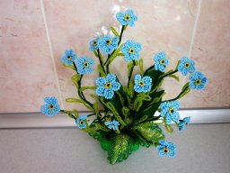 Незабываемые незабудки