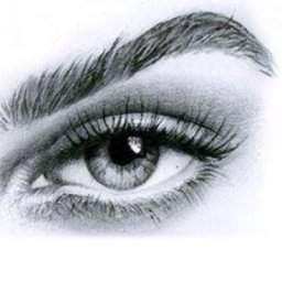 ​Рисуем красивый глаз