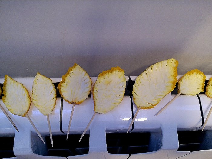 Топиарий из апельсиновых корок