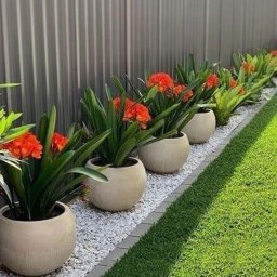 Клумбы у забора: идеи красивого обустройства территории