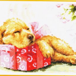 ​Подарок, спящий на подарке