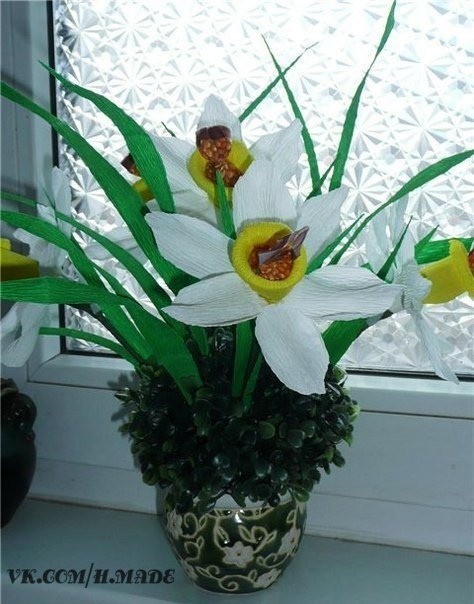 Нарциссы из конфет: мастер-класс