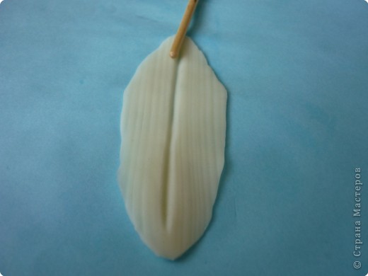 Лепим лилию: как живая