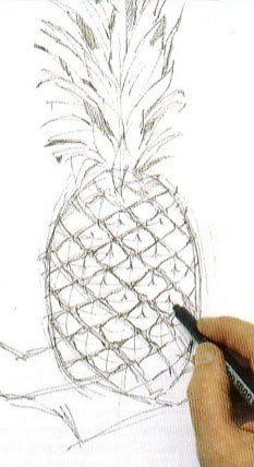 Рисуем ананас: пошаговый мастер-класс