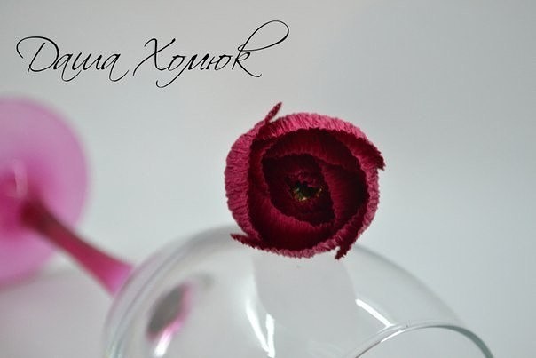 Шикарная бордовая роза с изюминкой