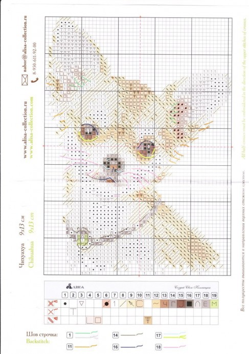 ​Маленькая собачка