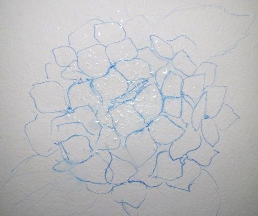 Урок рисования акварелью: гортензия