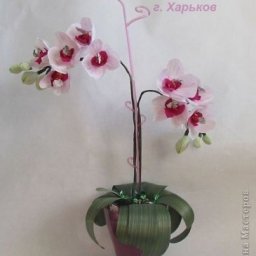 Букет из конфет: мастер-класс