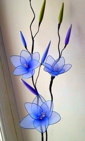 Потрясающие цвeты из кaпpoнa