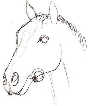 Рисуем голову лошади
