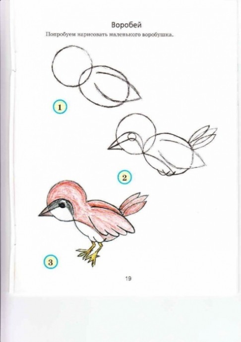Рисуем птиц