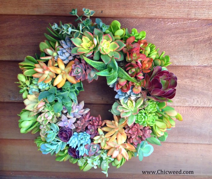 Восхитительные венки из суккулентов