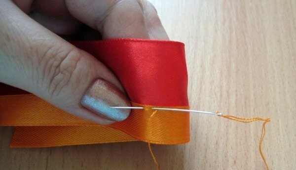 Двухцветная роза Двухцветная роза