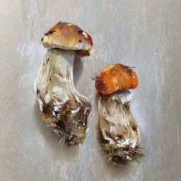 Урок рисования пастелью: грибочки