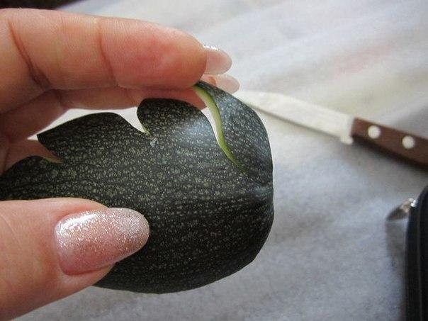 Цукини превращается в букет: мастер-класс по карвингу