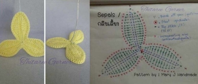 ​Орхидея крючком