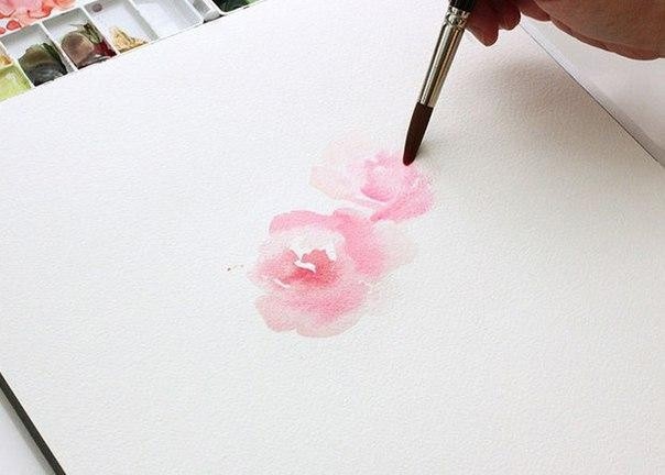 Нежные цветы акварелью