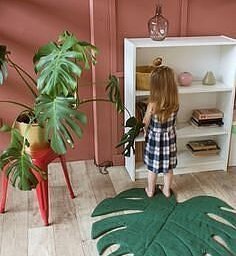 ​Монстера: идеи для вдохновения