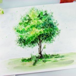 Дерево акварелью