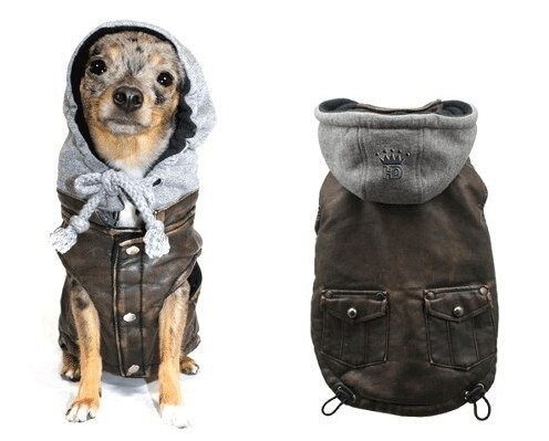 Выкройка попоны с капюшоном Выкройка попоны с капюшоном