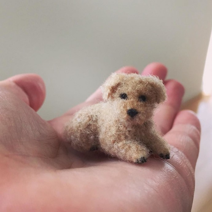 Невероятные миниатюры питомцев