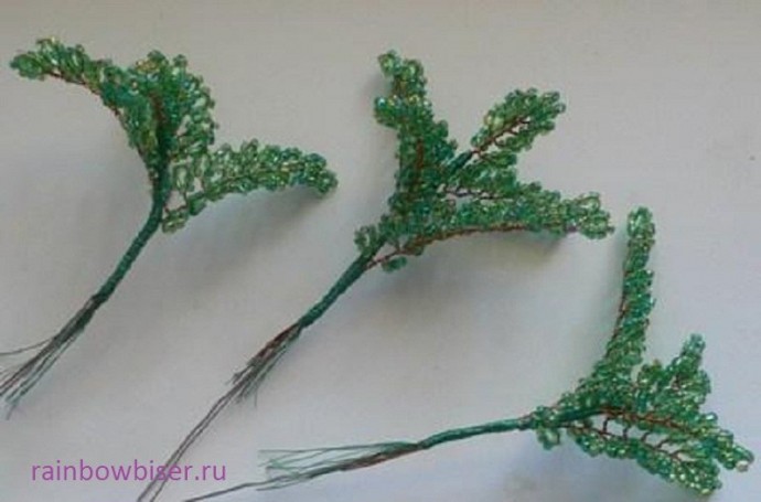 Дерево цветущей акации