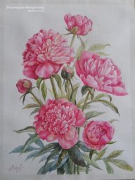 Рисуем роскошные пионы