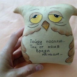 Сонные совята с шуточными надписями