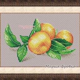 Вышиваем сочные мандарины