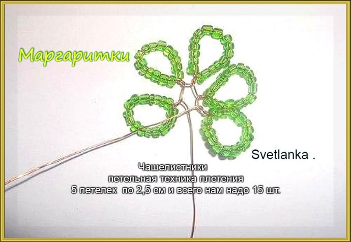 Маргаритки: мастер-класс Маргаритки: мастер-класс