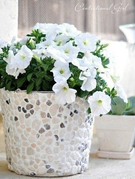 Цветочный горшок с камнями своими руками