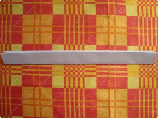 Прекрасная картина с астрами