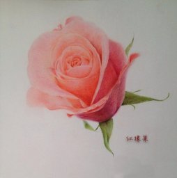 ​Рисуем чудесную розу