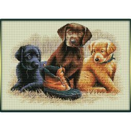 ​Щенки крестиком