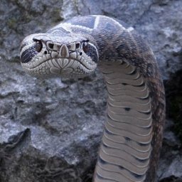 ​Трости в виде змей