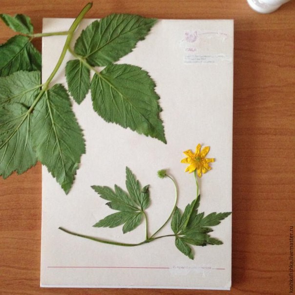 Интересная открытка своими руками