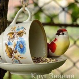 Кормушка для птиц из чашки и блюдца