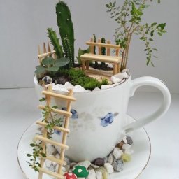Маленький сад в чашке