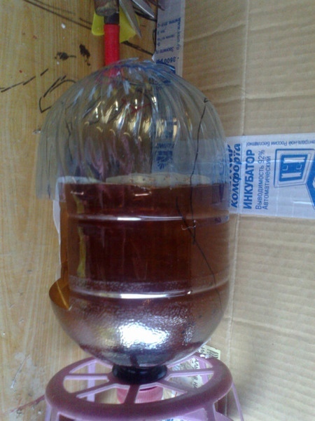 Попугай Кеша из пластиковых бутылок