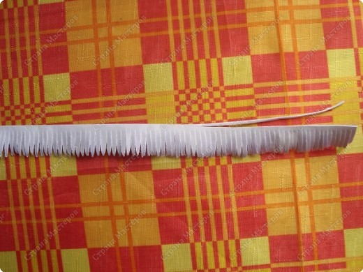 Прекрасная картина с астрами