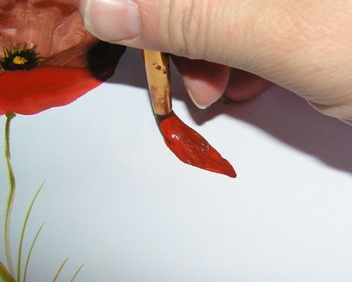 Рисуем красные маки акварелью