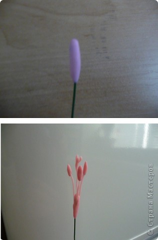 Гладиолус как живой