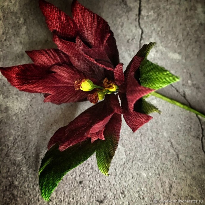 Белая пуансеттия из бархата