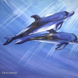 ​Чудесные дельфины