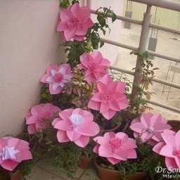 Цветы из бумаги