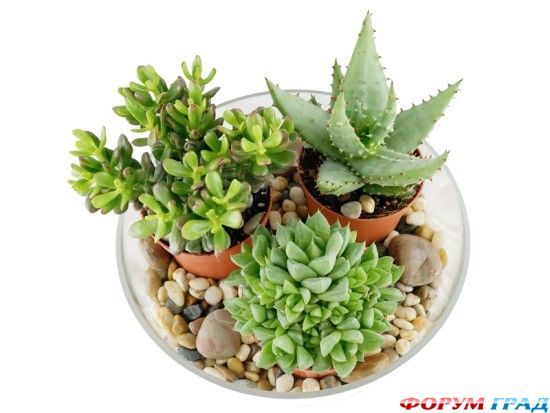 Романтичная галька в интерьере: совмещаем несовместимое Романтичная галька в интерьере: совмещаем несовместимое